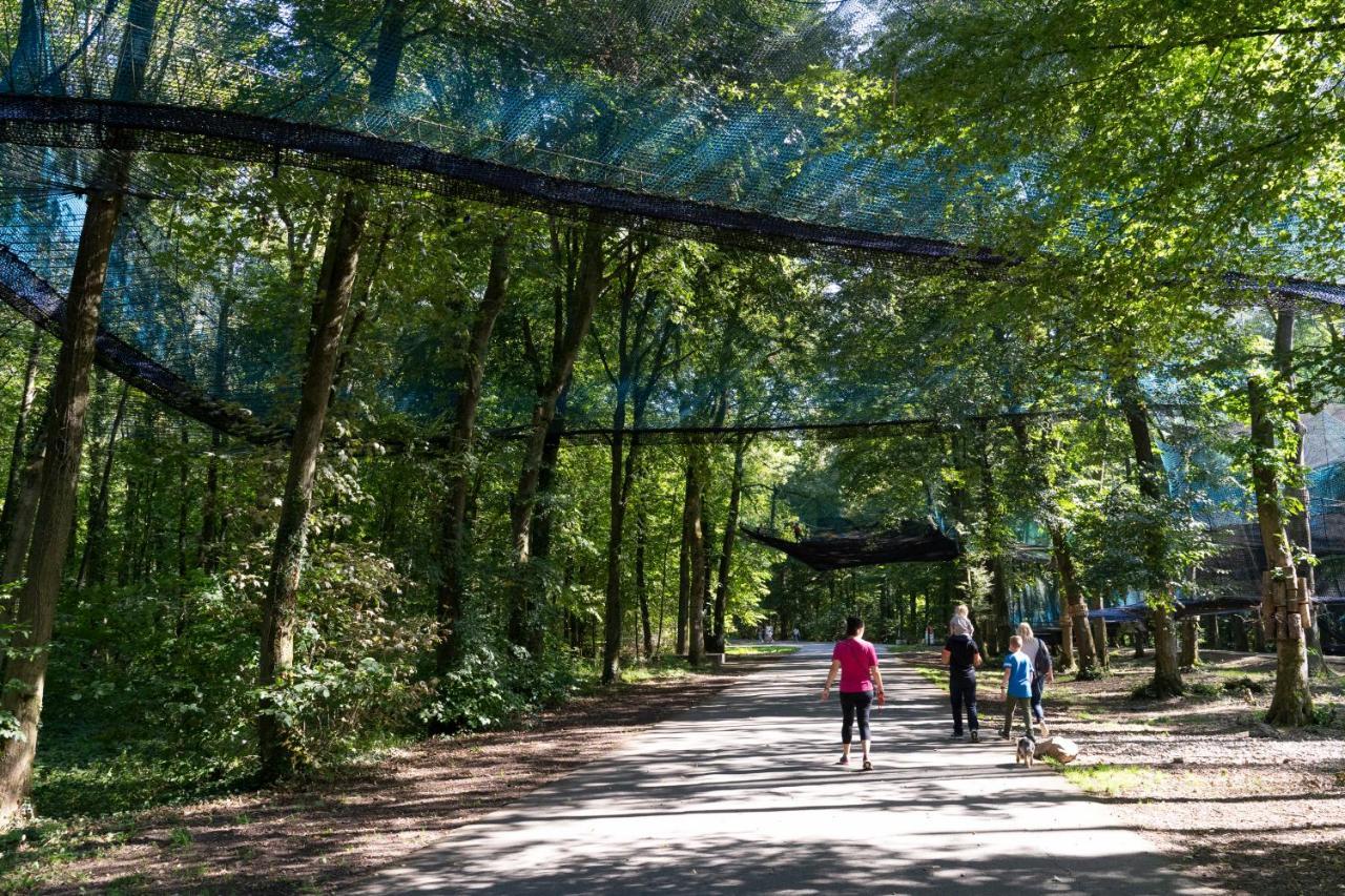 La Residence Du Parc D'Olhain Maisnil-les-Ruitz Buitenkant foto